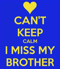 I Miss My Brother Best Brother Quotes My Brother Quotes Sister Quotes