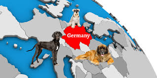 There are over four hundred recognized dog breeds around the world. 37 Popular German Dog Breeds List Alphabetical