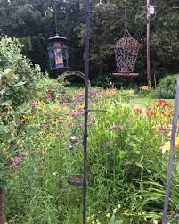 We did not find results for: Grandma S Garden Of Life Taps