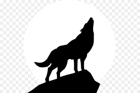 Gray Wolf Schablone Silhouette Clipart Wolf Kopf Umriss Png Herunterladen 599 600 Kostenlos Transparent Tierwelt Png Herunterladen
