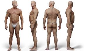 You will find here more than 282,000 photos of poses for your artworks. Male 05 Anatomy Reference Pose 07