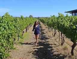 10 Unmissable Vineyards Wineries To Visit In The Margaret River Region In Western Australia Yoga Wine Travel