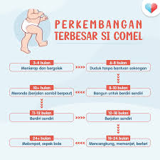 Perkembangan bayi usia 10 hingga 12 bulan. Setiap Perkembangan Bayi Dan Theasianparent Malaysia Facebook