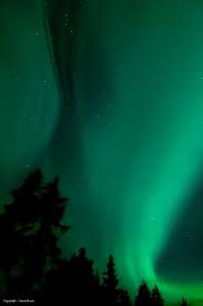 Auroras Boreales Desde Juneau Alaska Aurora Borealis Northern Lights Northern Lights Aurora Borealis
