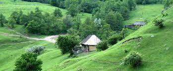 The natural park is located in vrancea mountains (eastern carpathians). Parcul National Putna Vrancea Putna Vrancea