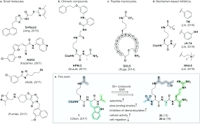 Pe baza deciziei grupului de lucru pentru. Mechanism Based Inhibitors Of Sirt2 Structure Activity Relationship X Ray Structures Target Engagement Regulation Of A Tubulin Acetylation And Inh Rsc Chemical Biology Rsc Publishing Doi 10 1039 D0cb00036a