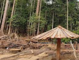 empat Singgah