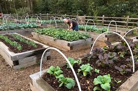 This is a detailed video about setting up or build up a trellis netting system to support plants in tunnel farming. Joe Gardener Organic Gardening Like A Pro