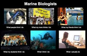 A marine biologist career shows that they conduct research on aquatic life and publicize the findings of their research in both academic and popular articles. Top 20 Frequently Asked Questions Of Marine Scientists Deep Sea News