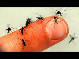 Evle Ilgili Panosundaki Pin