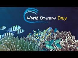 When is & how many days until as stipulated, the world oceans day celebration is directed by an annual theme, which seeks to. World Oceans Day 8 June Youtube