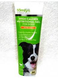 To acquaint your dog or cat with the flavor, place a small amount of gel on its nose or in its mouth. Small Breed Dog Food Dog And Puppy Pets