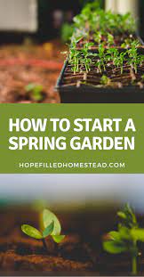 How To Start A Garden This Spring In 2021 Spring Garden Spring Vegetable Garden Garden Planning