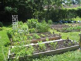 Complete, self contained drip irrigation kit. I Made A Simple Irrigation System For My Raised Bed Garden