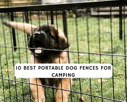A portable camping dog fence is great for when you need to cook, start a fire or bbq. Best Portable Dog Fence For Camping Top 10 Picks 2021 We Love Doodles