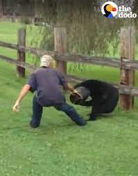 Group Of Friends Saves Bear With Bucket Stuck On His Head | When this guy  spotted a bear with a bucket stuck on his head, he knew he had to help —