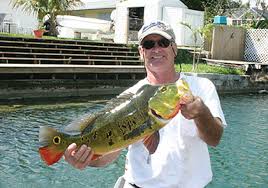 Tips for fishing trips in south florida. Florida S Spring Bream Crappie And Peacock Bass Report