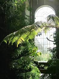 Childhood Stomping Ground Edinburgh Botanical Gardens Botanical Childhood Edinburgh Gardens Ground Stompi Botanic Gardens Edinburgh Greenhouse Plants