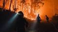 Emergency Response Intensifies as Wildfires Ravage Spain