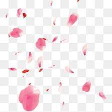 Float Petal Petals Material Cherry Blossoms Cherry Blossom Petals Sakura Png Petals Materi Cherry Blossom Petals Christmas Wreath Illustration Overlays Picsart