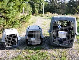 Standard pet shipping crate sizes: Pet Travel Crates International Animal Shipping Scandipet