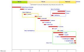 They have determined a shockingly young age for the. The History Of Our Tribe Hominini