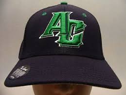 details about ac lions the game embroidered one size pro fit a flex ball cap hat