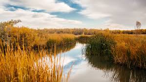 Where is cherry creek medical center in cherry creek? Colorado Parks Wildlife Cherry Creek
