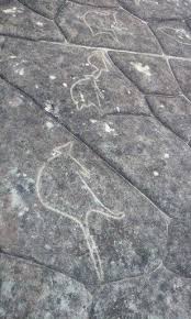 Aboriginal Rock Art Kuringai National Park Sydney Aboriginal History Aboriginal Culture Land Art