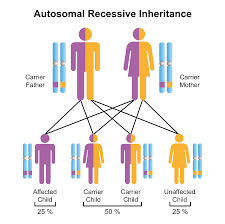 Image result for Ataxia