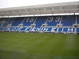 Rhein Neckar Arena Soccer Field Field Soccer