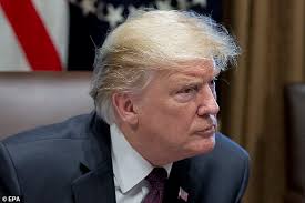 Medications like chemotherapeutic 4 drugs, antidepressants, arthritis and high blood pressure drugs can lead to hair loss. Donald Trump S Hair Growth Drug Is Safe For Men To Prevent Prostate Cancer Daily Mail Online