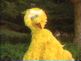 A musical celebration (1993) full episodes online free watchcartoononline. Sesame Street Jam A Musical Celebration Muppet Wiki Fandom