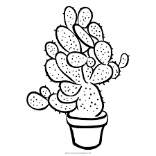 Succulent plant is a printable, instant download, free coloring page in pdf format. Succulent Coloring Page Ultra Coloring Pages