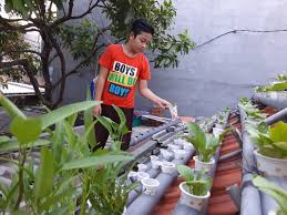 Salah satu cara untuk melakukan ini adalah dengan menjaga mereka ke. Tips Berkebun Di Atap Rumah Anti Gagal Panen Kumparan Com