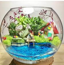 Nilufer Pekbelgin Adli Kullanicinin Terrarium Panosundaki Pin Resim