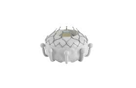 Edwards Touts Trial Results For Evoque Transcatheter Tricuspid Valve Replacement System Massdevice