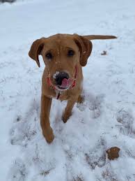 WOWZER!!! 11.17.25 East of Snowflake.