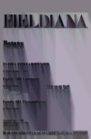 Image result for Synandrodaphne paradoxa