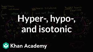 Animal cells in isotonic hypertonic and hypotonic solutions. Hypotonic Isotonic And Hypertonic Solutions Tonicity Video Khan Academy