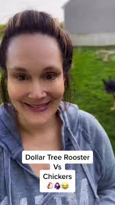 Little Chickens at Dollar Tree