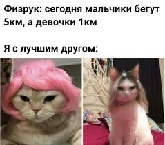кто я из леди баг и супер кот тест Pin Ot Polzovatelya Nina Na Doske Memy V 2020 G Veselye Memy Smeshnye Shutki Smeshnye Memy