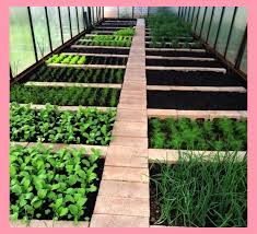 Diy Garden Beds 43 Interesting Ideas For Country Design Gardendesign 2020 Bahce Tasarim Fikirleri Kentsel Ciftcilik Bahce Yatagi