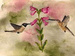 Check spelling or type a new query. Hummingbirds In Colorado Painting By David Carlson