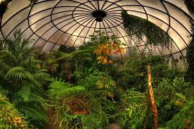 Alter botanischer garten) is a botanical garden and arboretum in the swiss city of zürich. Subtropenhaus Greenhouse Dome Zurich Botanical Gardens Botanischer Garten Zurich Tropical Greenhouses Green House Design Greenhouse Gardening