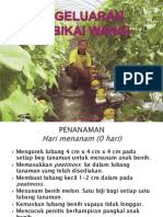 Majalah teknotani april 1993 dan bingkisan pertanian bil. Amali 5 Penanaman Tembikai Fertigasi