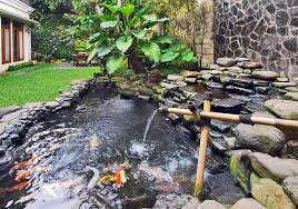 Hal ini dipercaya memberikan efek negatif yang karena akan lebih banyak masalah yang datang dan menolak energi positif yang datang kerumah. Ingin Buat Kolam Ikan Di Rumah Perhatikan 5 Hal Ini Terlebih Dahulu