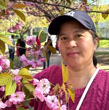 Cherry blossoms at Kariya Park in full bloom