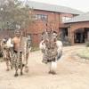 The traditional ceremony at held at nongoma was attended by 20,000 people. Https Encrypted Tbn0 Gstatic Com Images Q Tbn And9gcsbgnnmvd6jiik1uy1ujo Il1efqmp68legdulatxm Usqp Cau