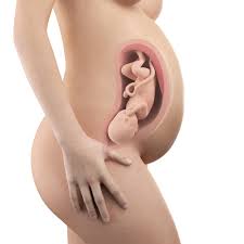 Die gebärmutter bereitet sich auf die geburt vor und. 35 Ssw Schwangerschaftswoche Dein Baby Dein Korper Beschwerden Und Mehr Faminino